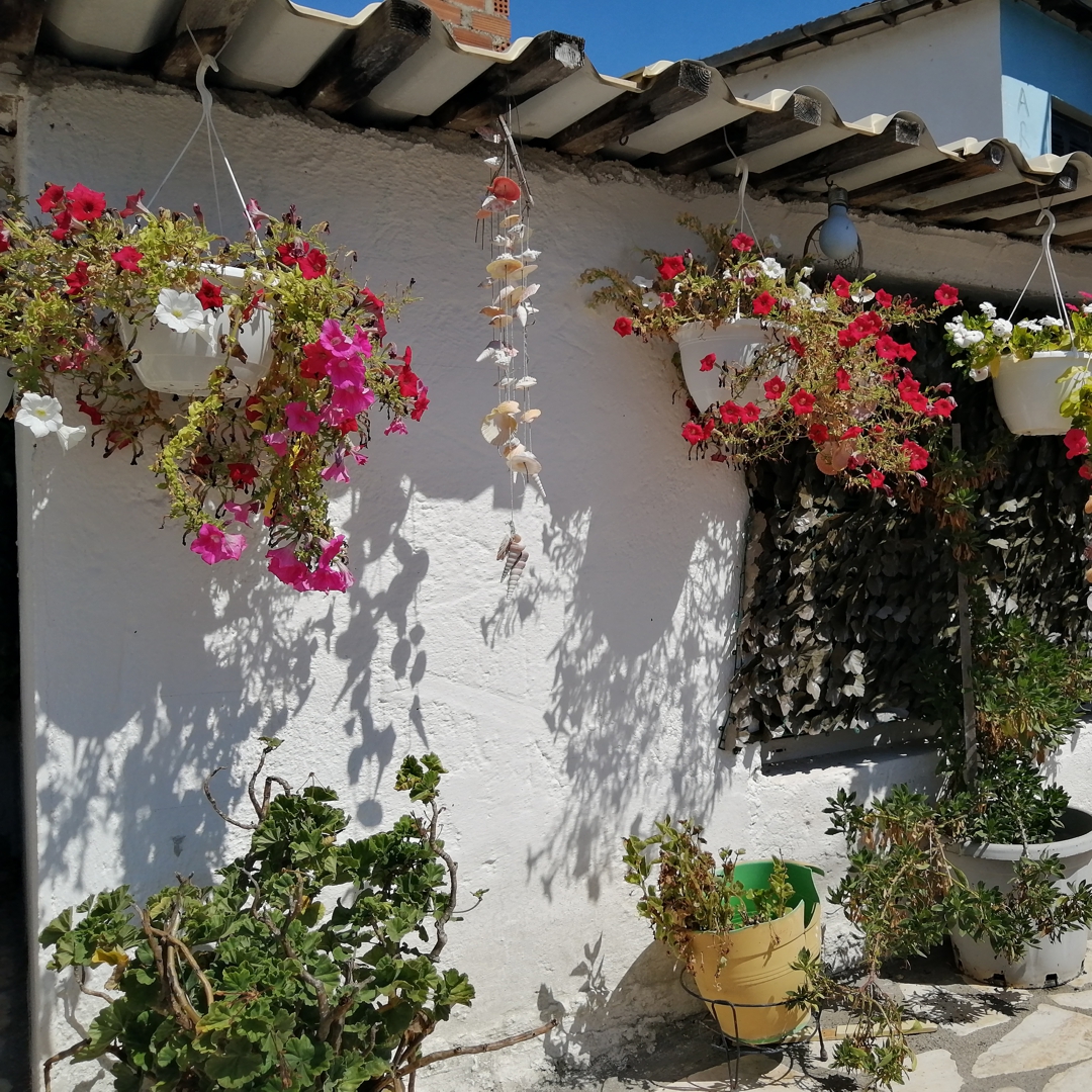 Catamaran Holidays in the Greek Island
